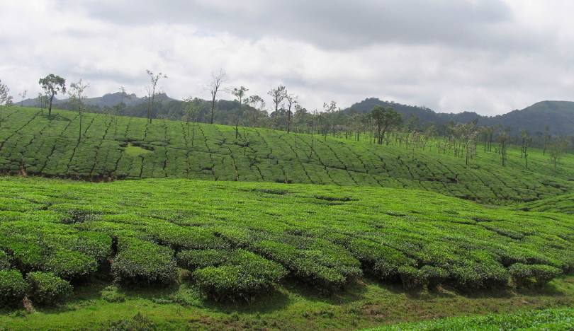 c0f39e 89076e40a5d241e4a49aa4bc8a0de7ad~mv2